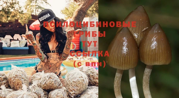спайс Абинск