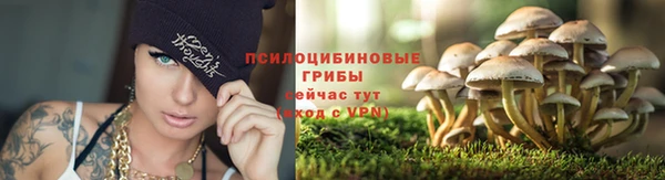 эйфоретик Абдулино