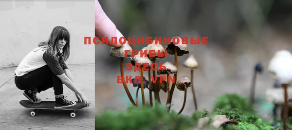 гидропоника Абаза